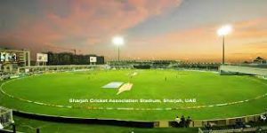 40 year love of cricket
